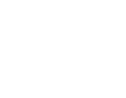Silhouette of a jumping dolphin on a white background.