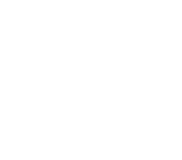 Simplified white whale icon on blue background.