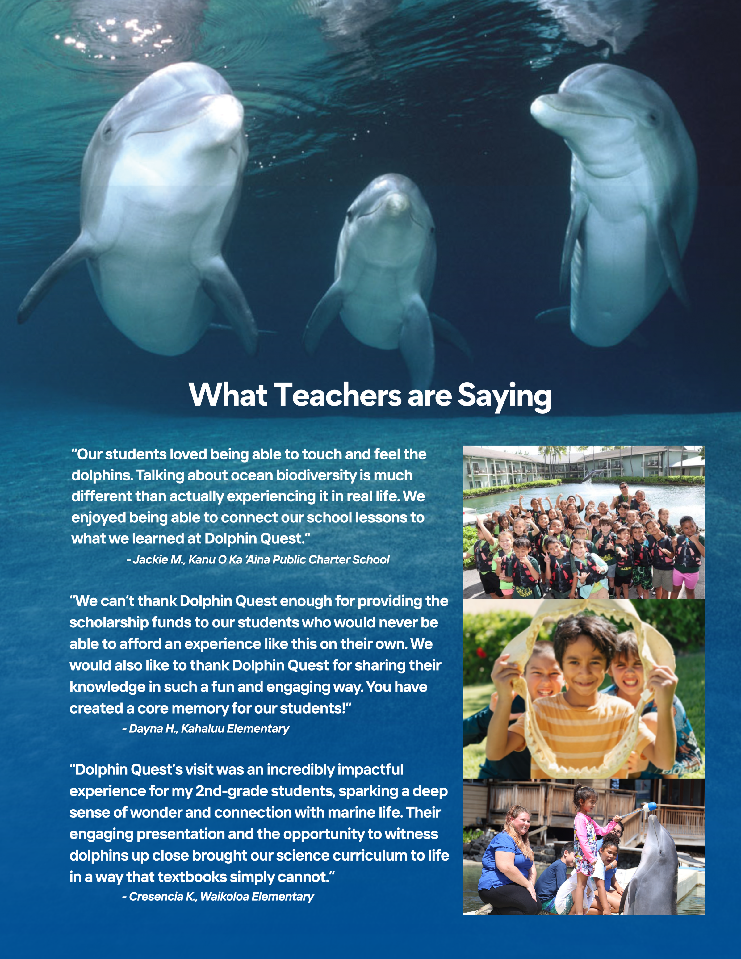 Dolphins underwater with teachers and students sharing testimonials and a group photo.