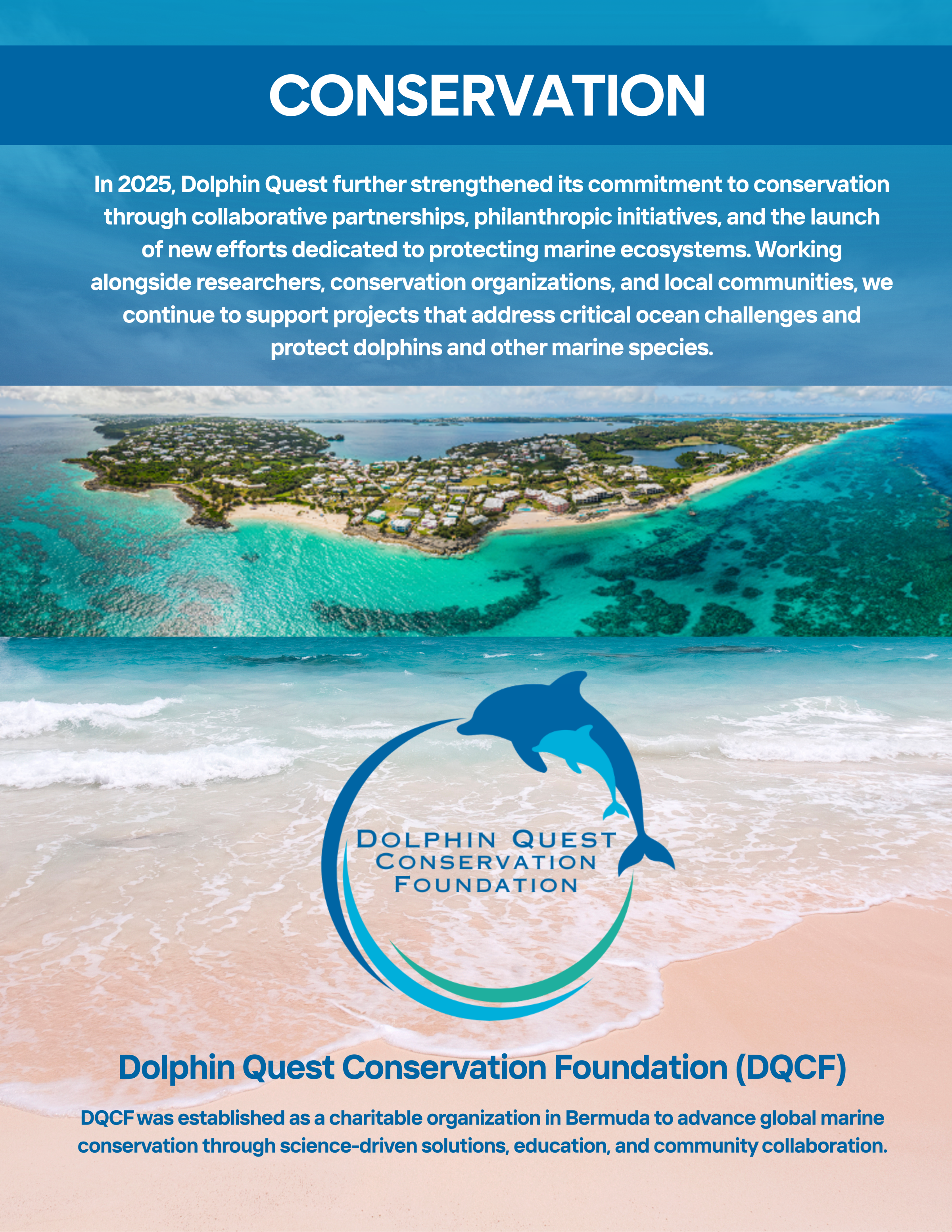 Poster with ocean image, dolphin graphic, and text about Dolphin Quest Conservation Foundation.