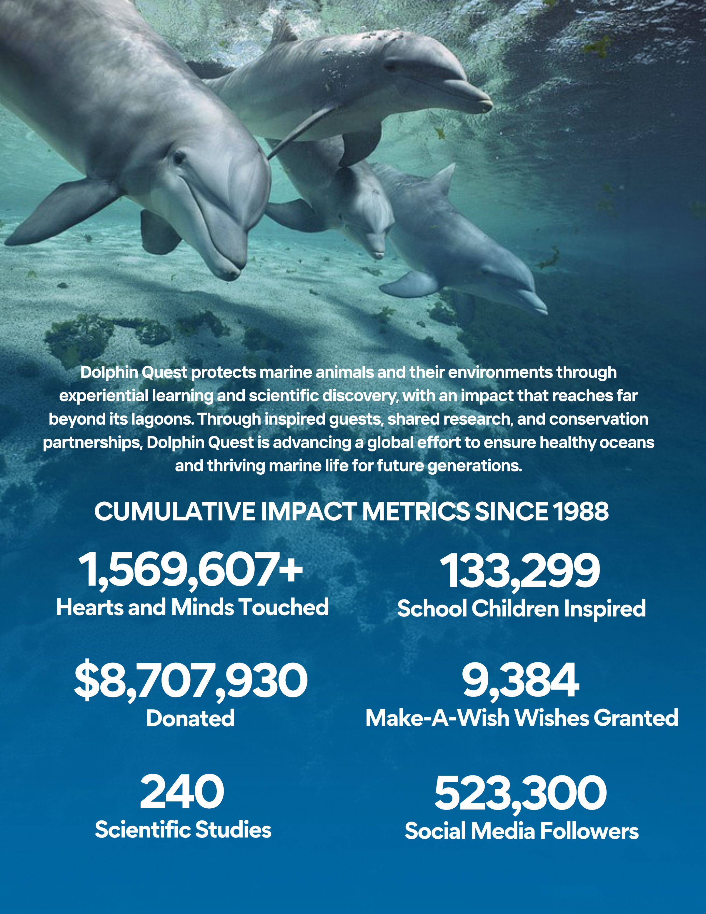 Dolphin Quest impact metrics with swimming dolphins and text on marine conservation achievements.