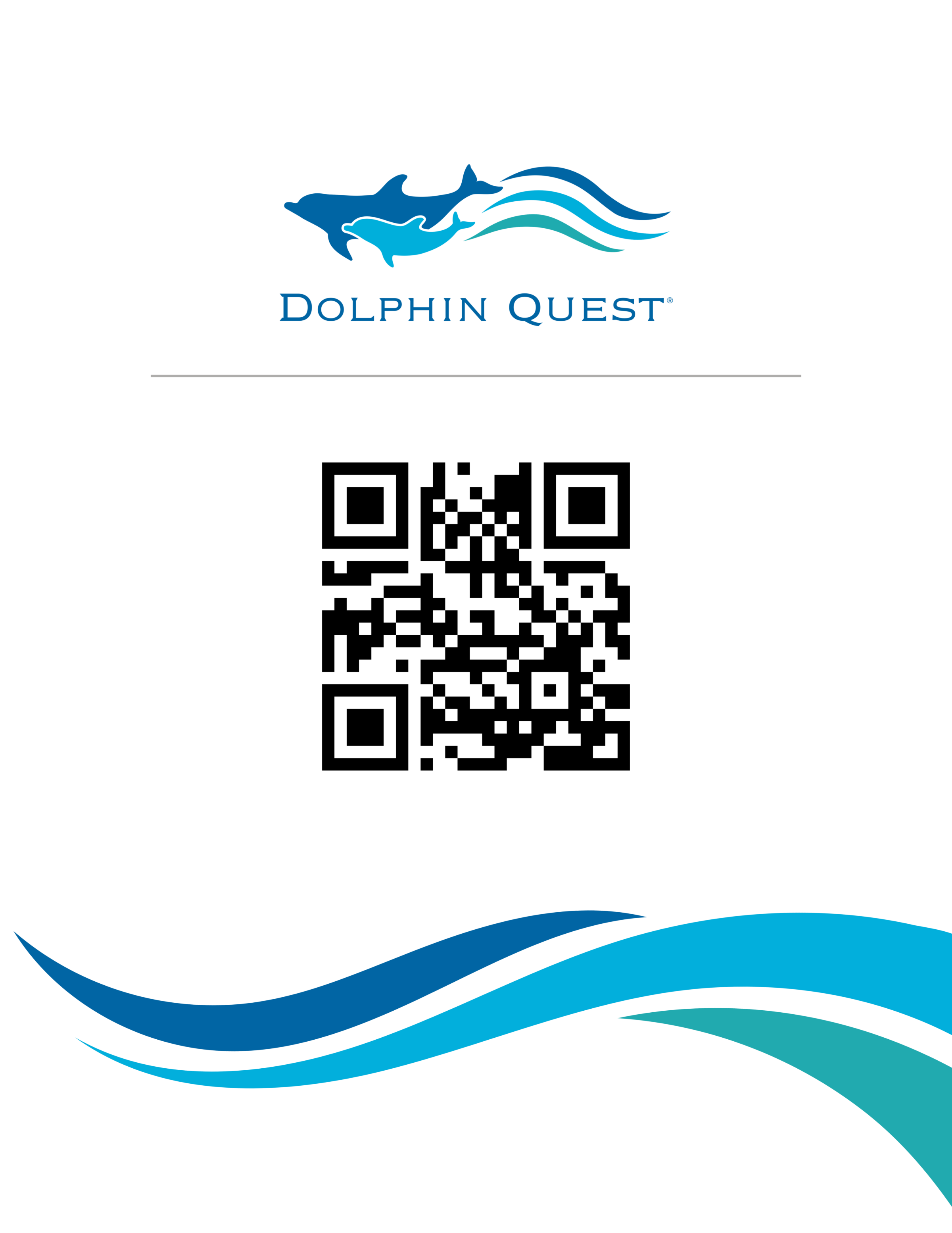 Dolphin Quest logo with QR code and wave design at bottom.
