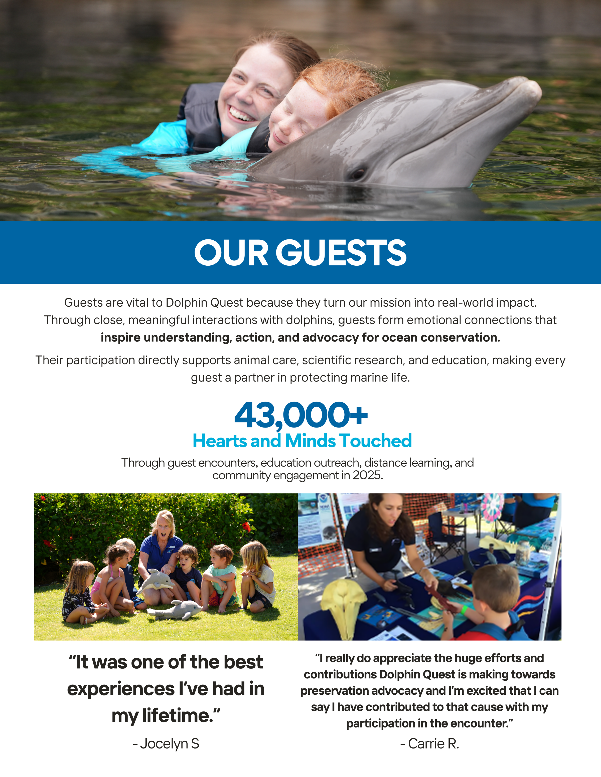 Person swimming with a dolphin above quotes from visitors praising the experience.