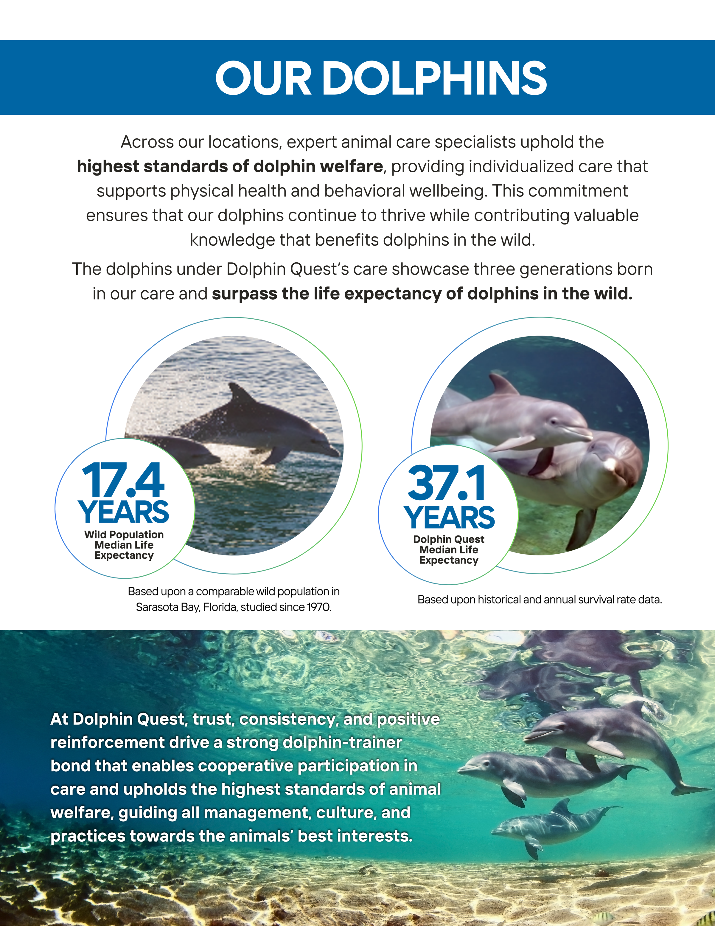 Two dolphins swimming; text about dolphin care and life expectancy.