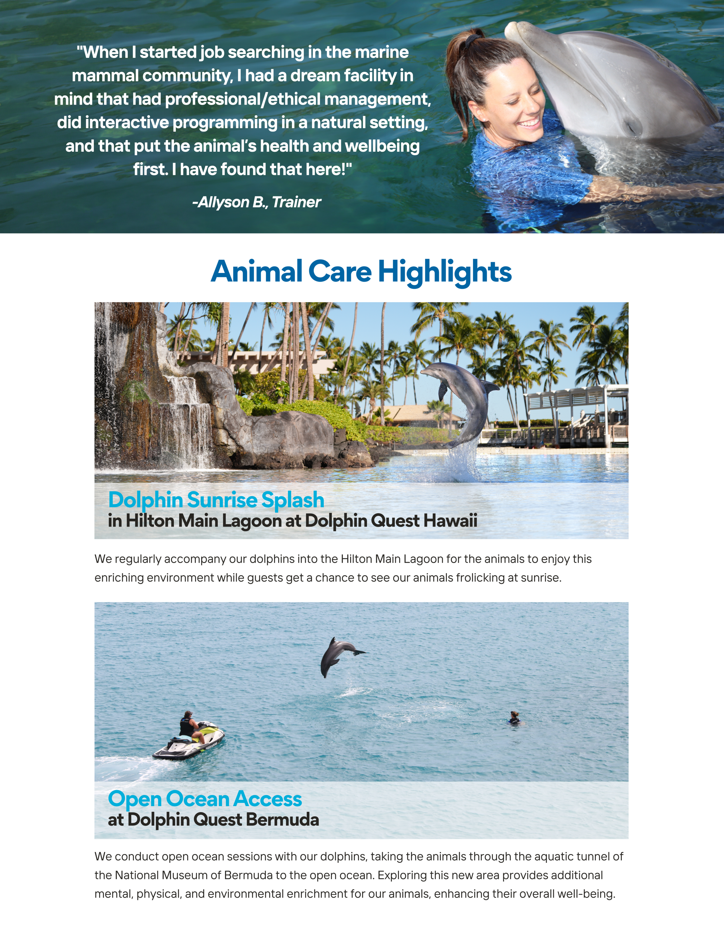 Brochure excerpt with dolphin care highlights and photos of dolphins in water.