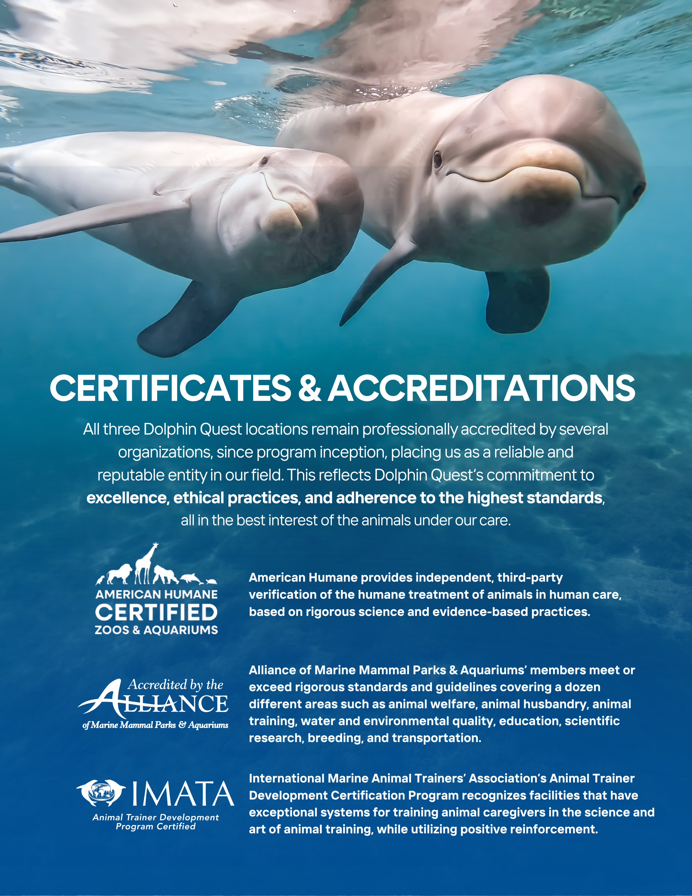 Two dolphins swimming underwater with accreditation text.