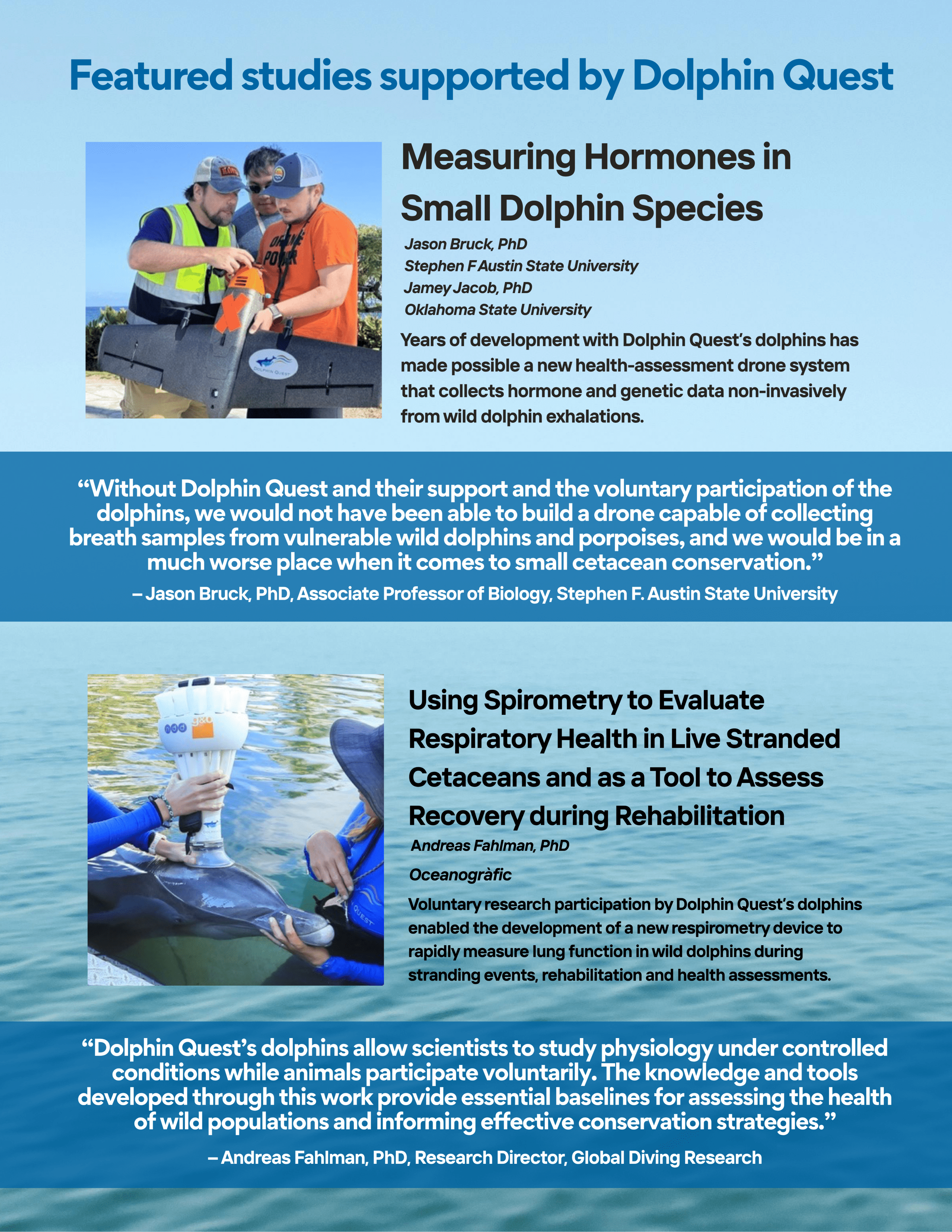 Flyer about dolphin research with images of researchers and dolphins.