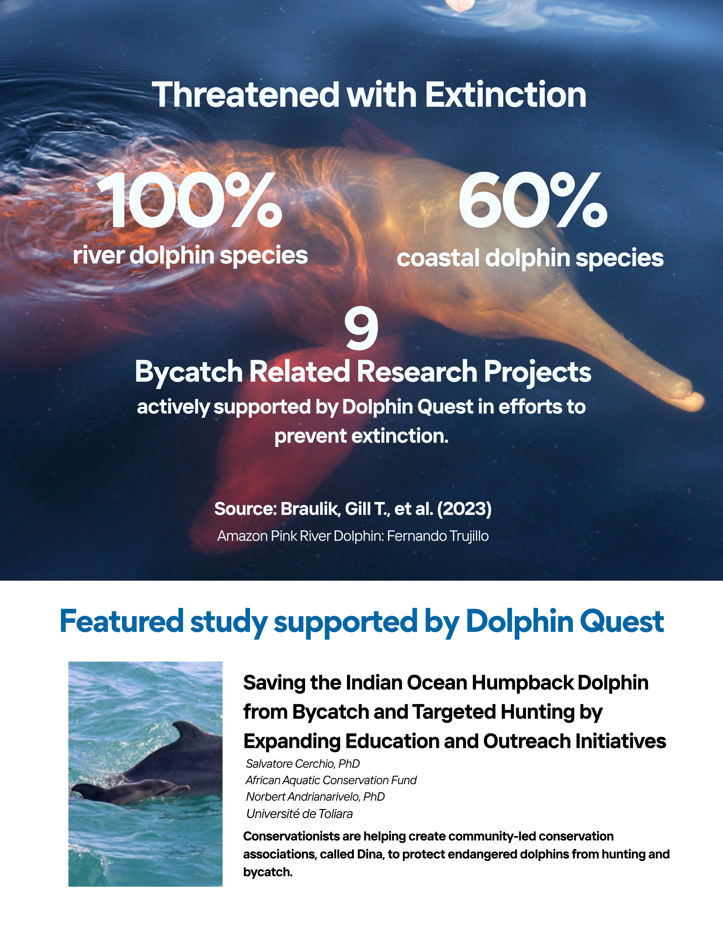 Infographic on dolphin extinction threats and conservation efforts by Dolphin Quest.