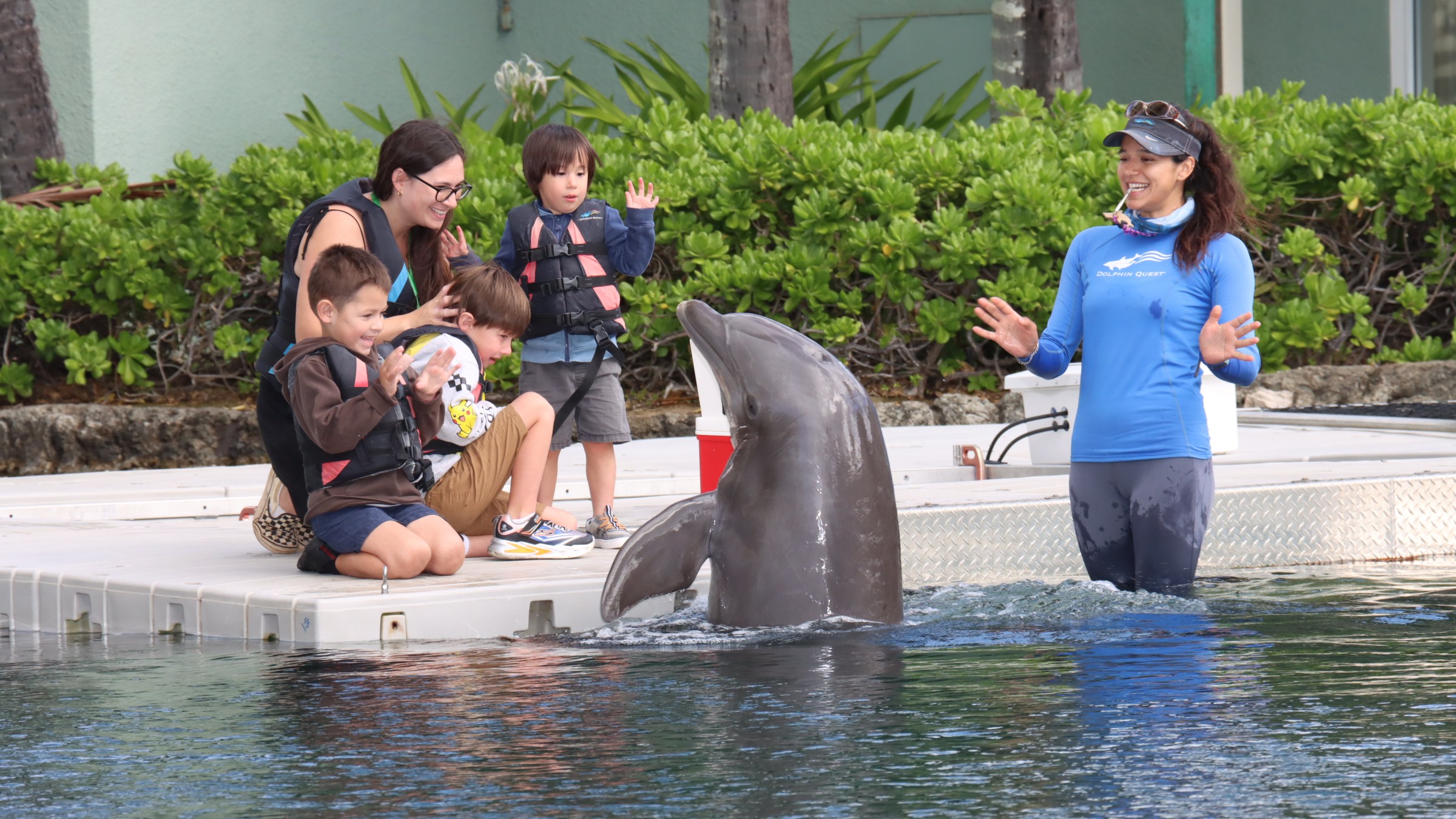 A dolphin interacts with a family and trainer on a dock near a pool.