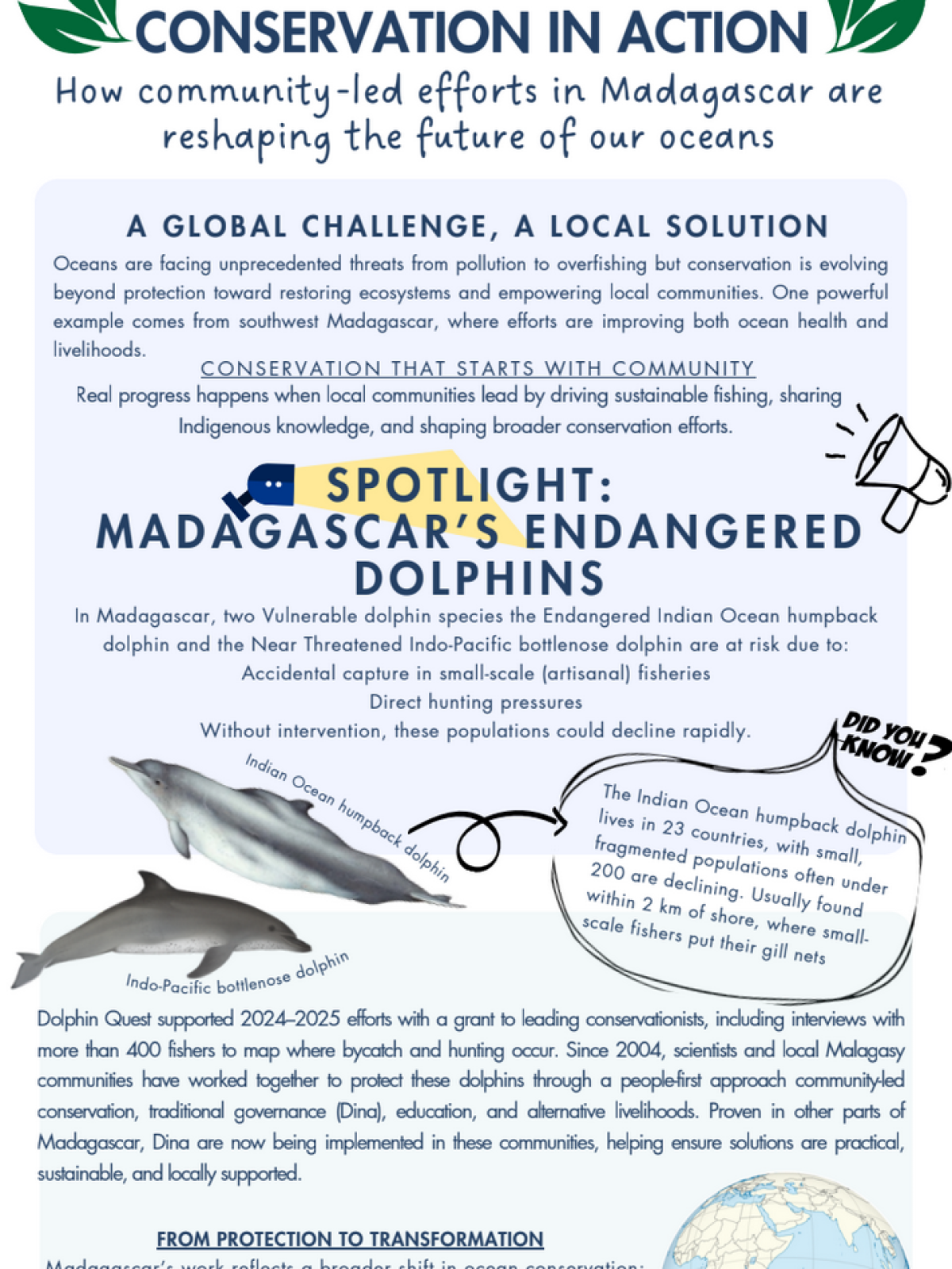 Infographic about conservation efforts in Madagascar focusing on endangered dolphins.