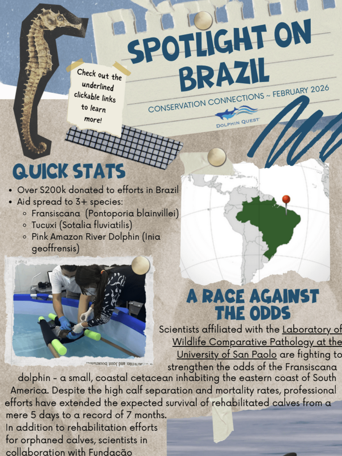 Infographic about Brazilian wildlife conservation efforts with images of dolphins and a scientist.