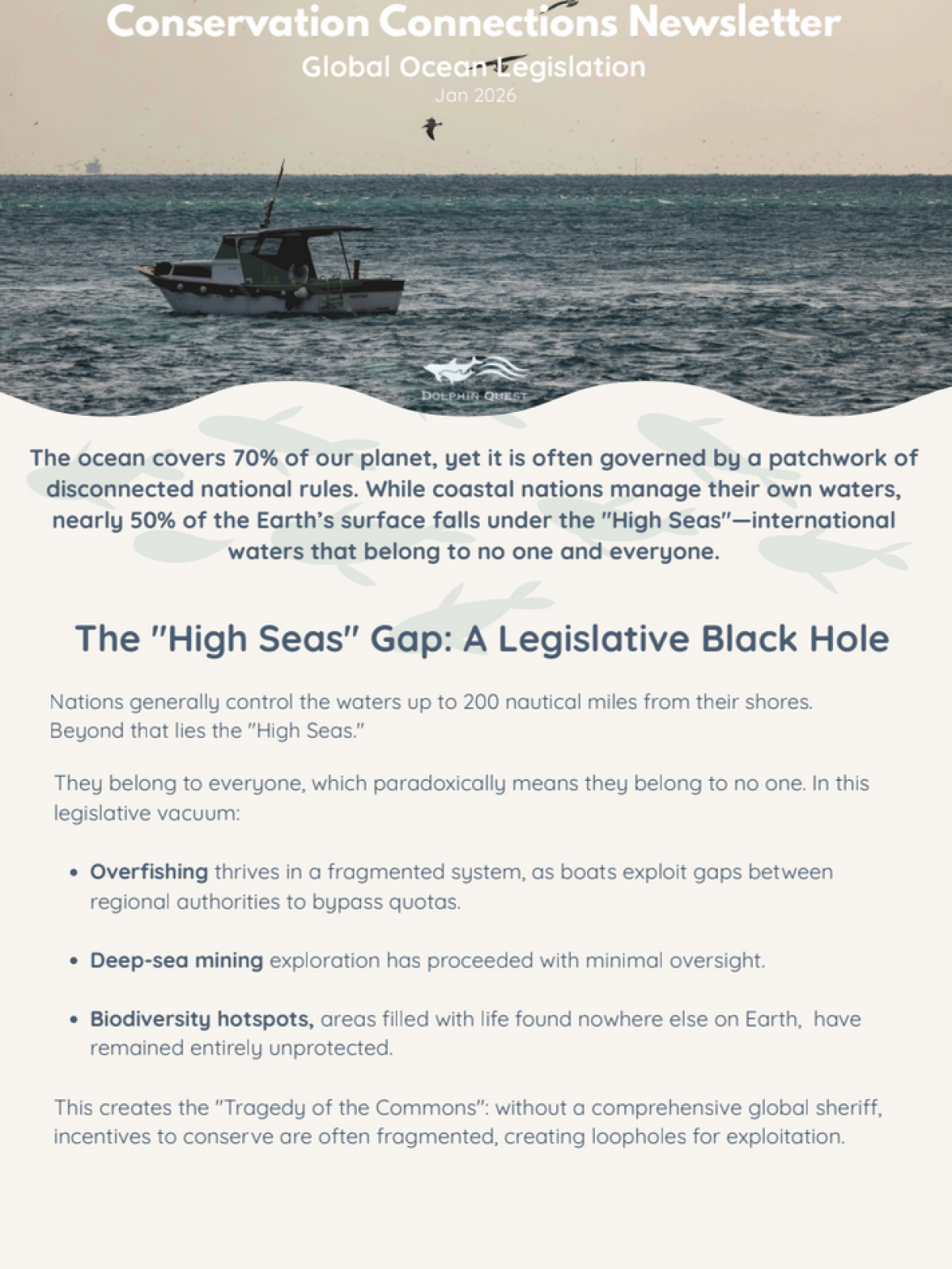Newsletter page with ocean photo, title 'Conservation Connections Newsletter' and text on global ocean legislation.