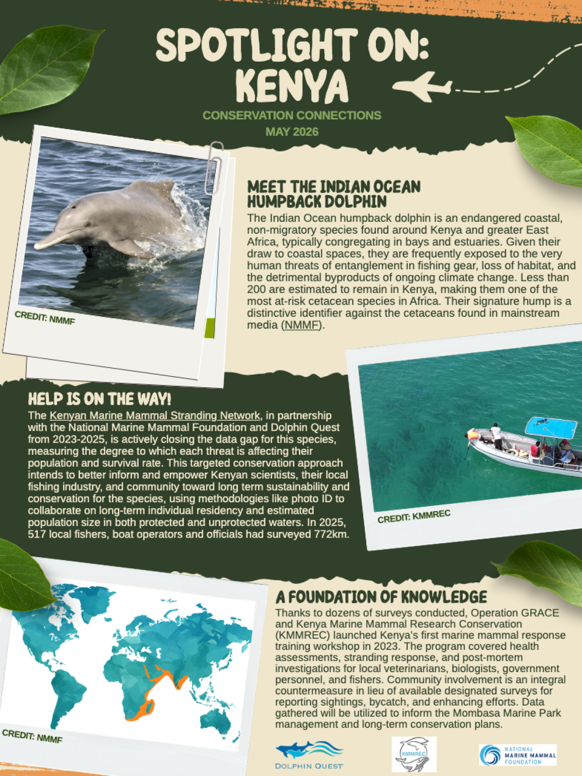 Poster about Kenyan wildlife conservation with dolphin image and text sections.