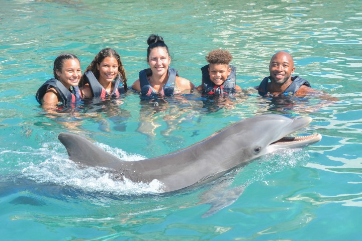 Five people in life vests in water with a dolphin in front.