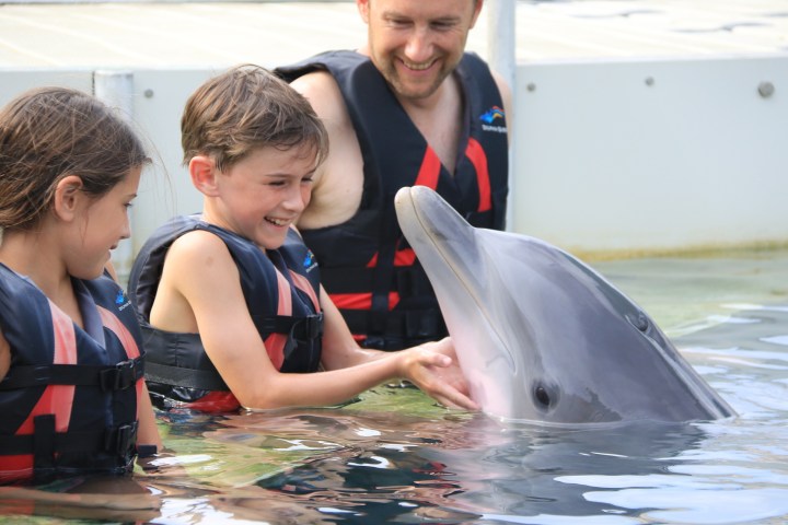 Two children and an adult interact with a dolphin in a pool.