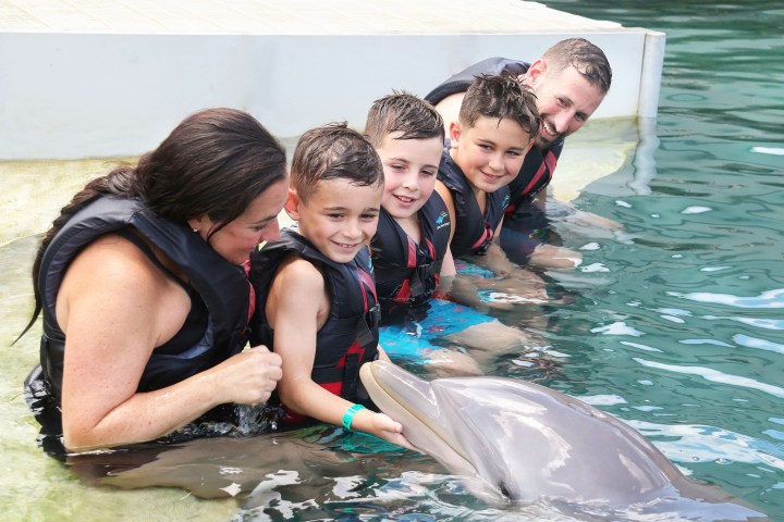 Smiling family in life vests interacting with a dolphin in the water.