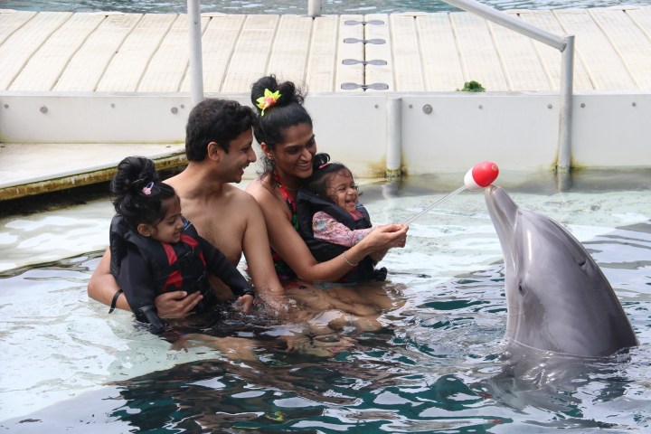 Family in water interacting with a dolphin holding a ball.