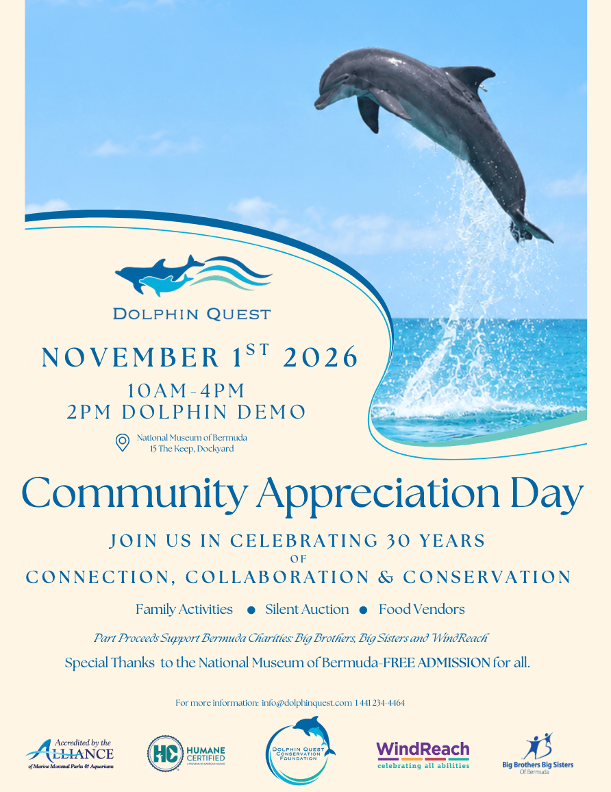Dolphin leaping over ocean for Community Appreciation Day event poster.